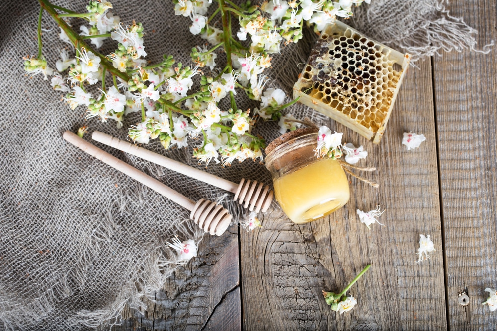 عسل مانوكا mgo850 أهم الفوائد، ودواعي الاستخدام عسل المانوكا