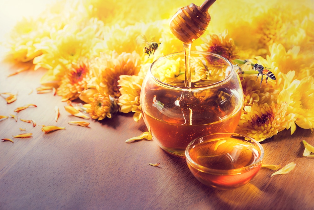 افضل انواع عسل مانوكا للقولون والمعدة عسل المانوكا افضل انواع عسل